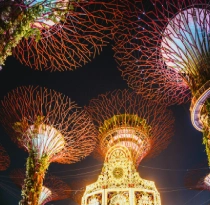 Mytripnavigator's Singapore Package Tour